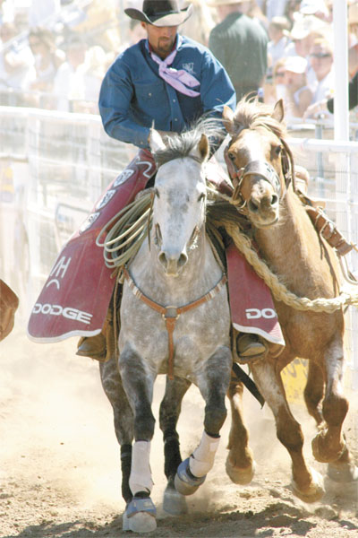 rodeo bronco roundup