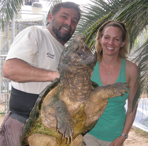 DAN marchand holding a alligator snapping turtle