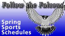 follow the falcons icon