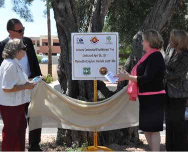 witness tree dedication