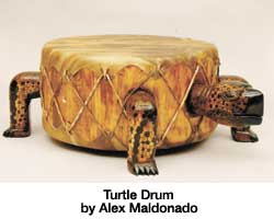 turtle drum by alex maldonado