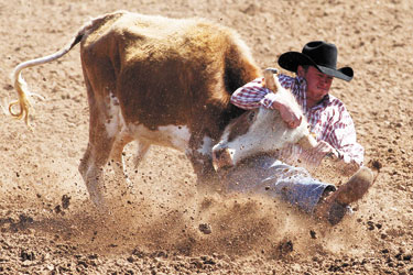 steer wrestling