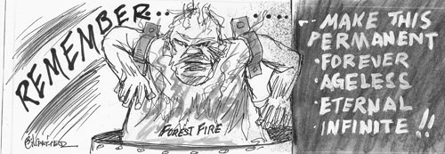 canfield cartoon forest fire