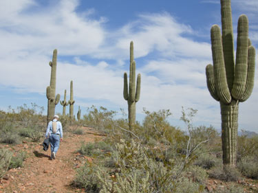 maricopa trail system