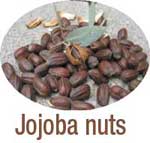 jojoba