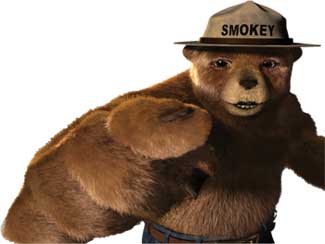 smokey bear