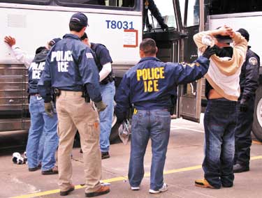 ice arrests