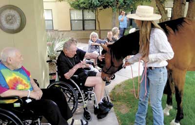 desert flower assisted living