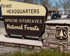 apache sitgreaves national forest