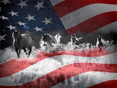 horses on flag background