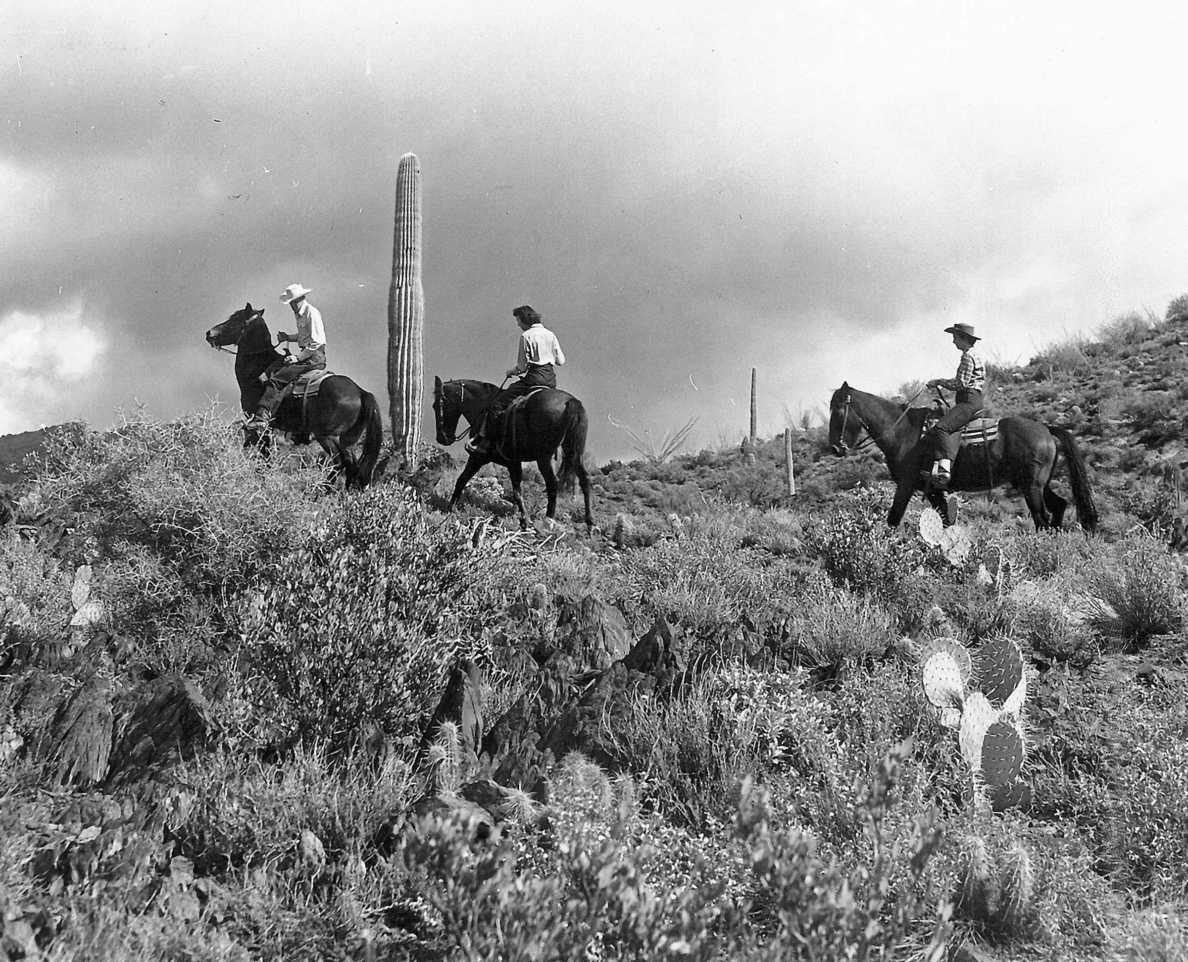 Sierra Vista Trail Ride