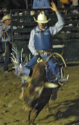 Bull ride