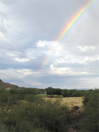 rainbowSonoranTraildesert