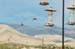 Carefree birds by Li#6B96EC