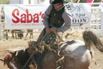 fiesta days rodeo bronco rider