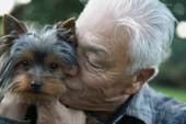 senior pet project