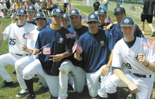 baseball falcons