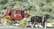 fiesta days parade winner, wells fargo stagecoach