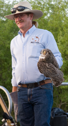 bob fox releasing great horned owl