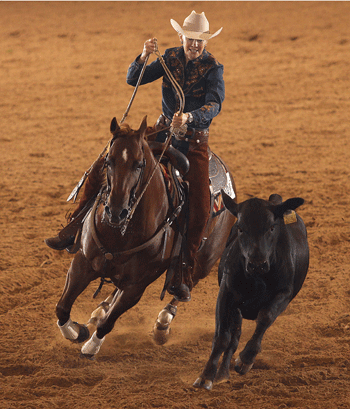 working cow horse