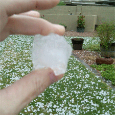 hail damage