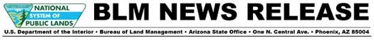 blm pr logo