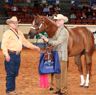 a kid by design wins silver title.