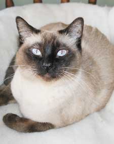 sabrina