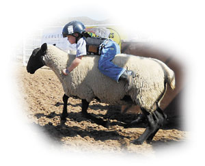 mutton bustin