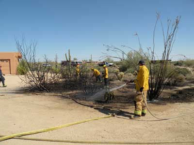 brush fire
