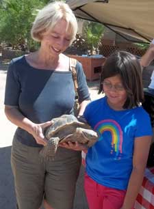 tortoise adption
