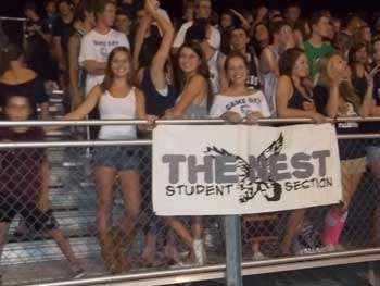 the nest