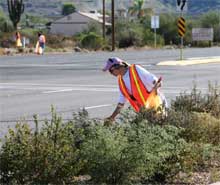 roadside clean up