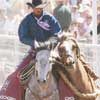 fiesta days rodeo