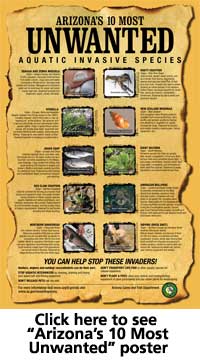 az ten most unwanted poster
