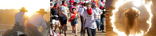 cave creek's running of the bulls