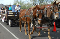 wild west days parade