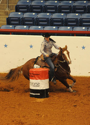 paint horse