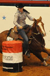 paint horse