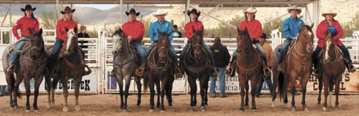 cave creek fiesta days rodeo board of directors