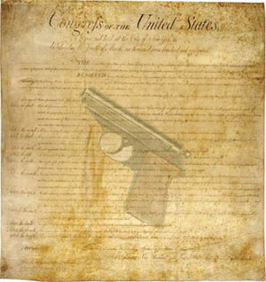second amendment