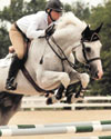 dapple grey farm