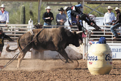 bull riding