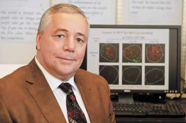 dr. habib zaghouani