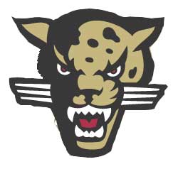 south mountain jaguar