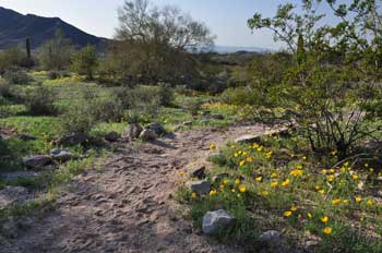 south mountain