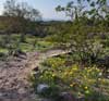 south mountain