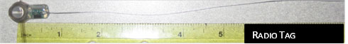 radio tag