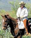spur cross stables