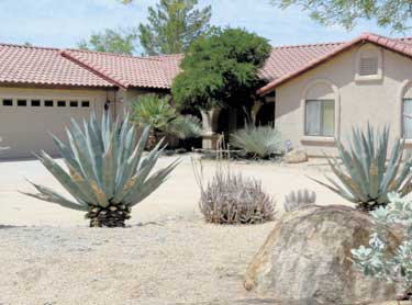 caregiver house
